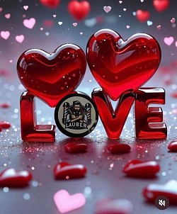 POMADA Media Fijación